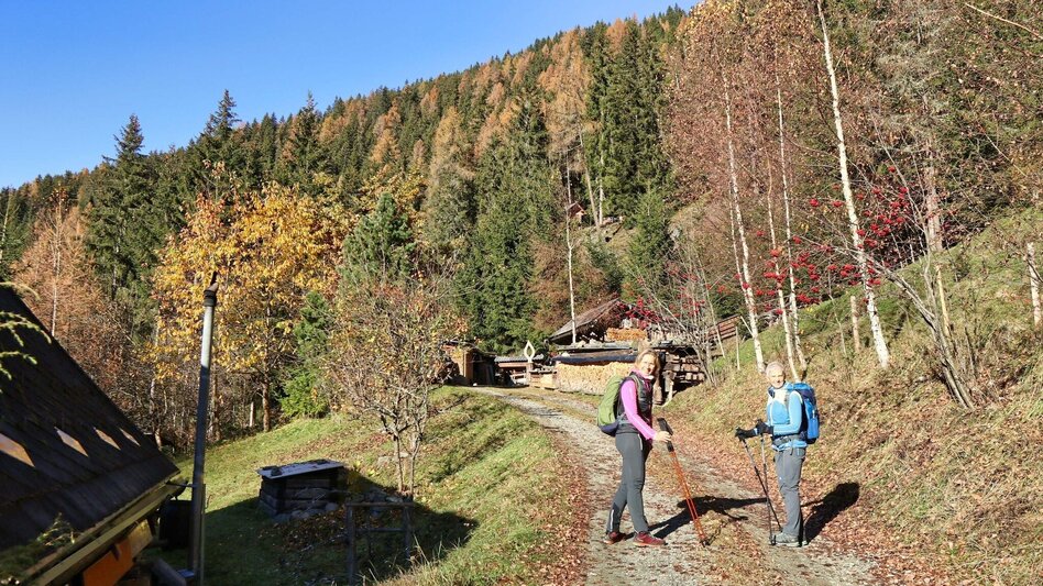 Hiking route Rosenkogel via Grünholzsteig - Touren-Impression #2.4 | © Weges OG