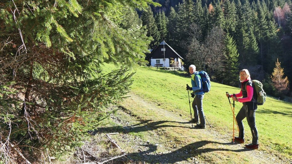 Hiking route Rosenkogel via Grünholzsteig - Touren-Impression #2.5 | © Weges OG