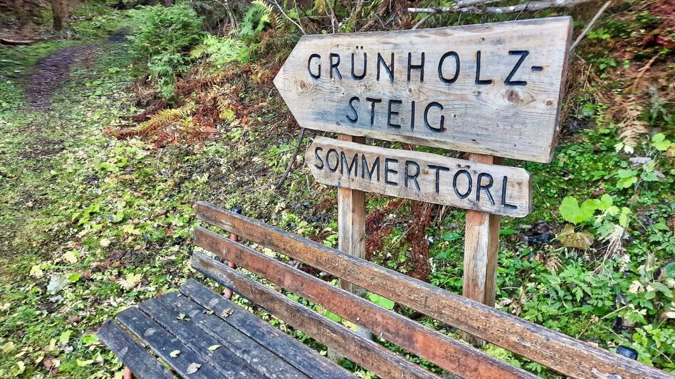 Hiking route Rosenkogel via Grünholzsteig - Touren-Impression #2.6 | © Weges OG