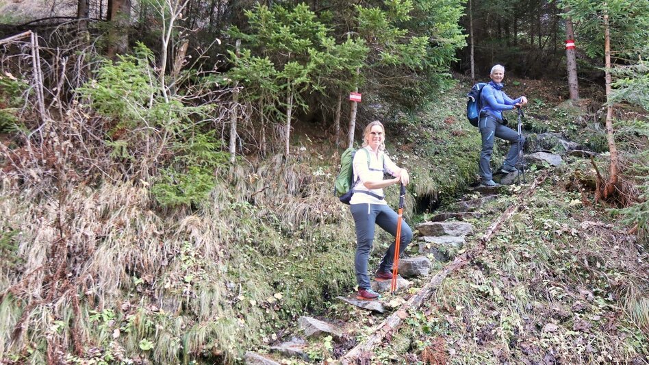 Hiking route Rosenkogel via Grünholzsteig - Touren-Impression #2.7 | © Weges OG