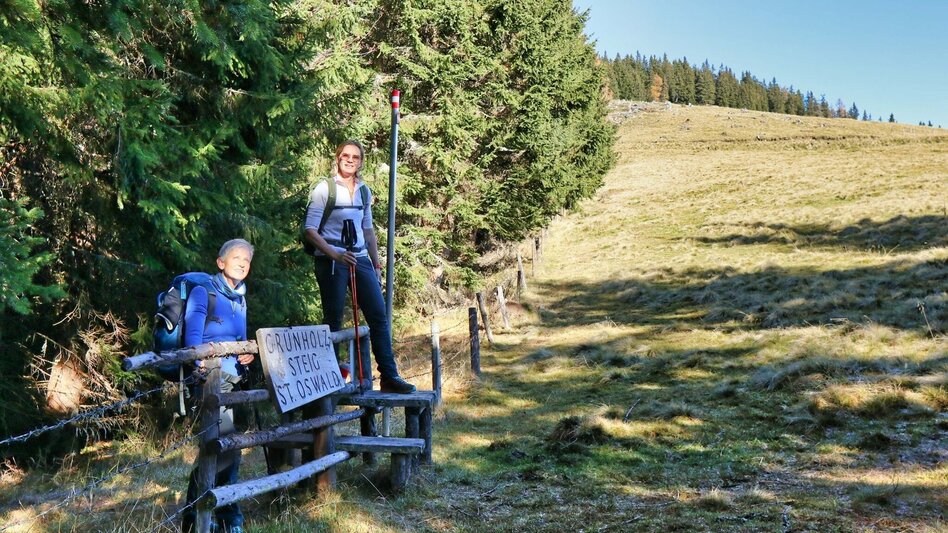 Hiking route Rosenkogel via Grünholzsteig - Touren-Impression #2.8 | © Weges OG