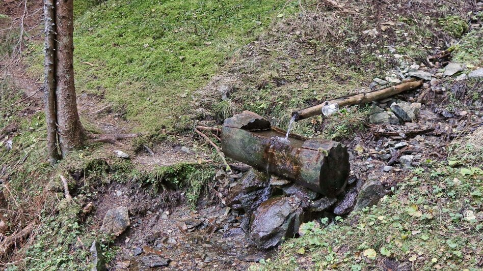 Hiking route Rosenkogel via Grünholzsteig - Touren-Impression #2.10 | © Erlebnisregion Murtal