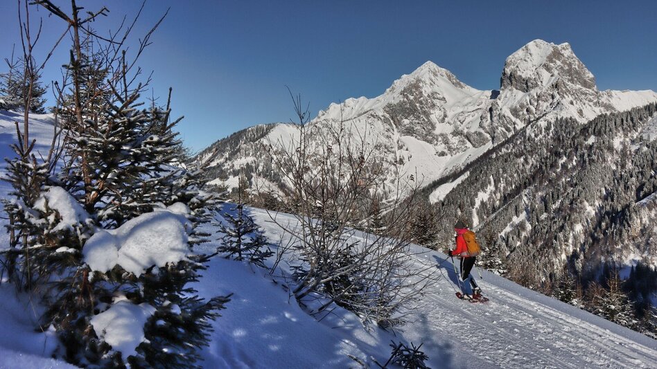 Snowshoe walking Plöschkogel - Touren-Impression #2.1 | © Weges OG