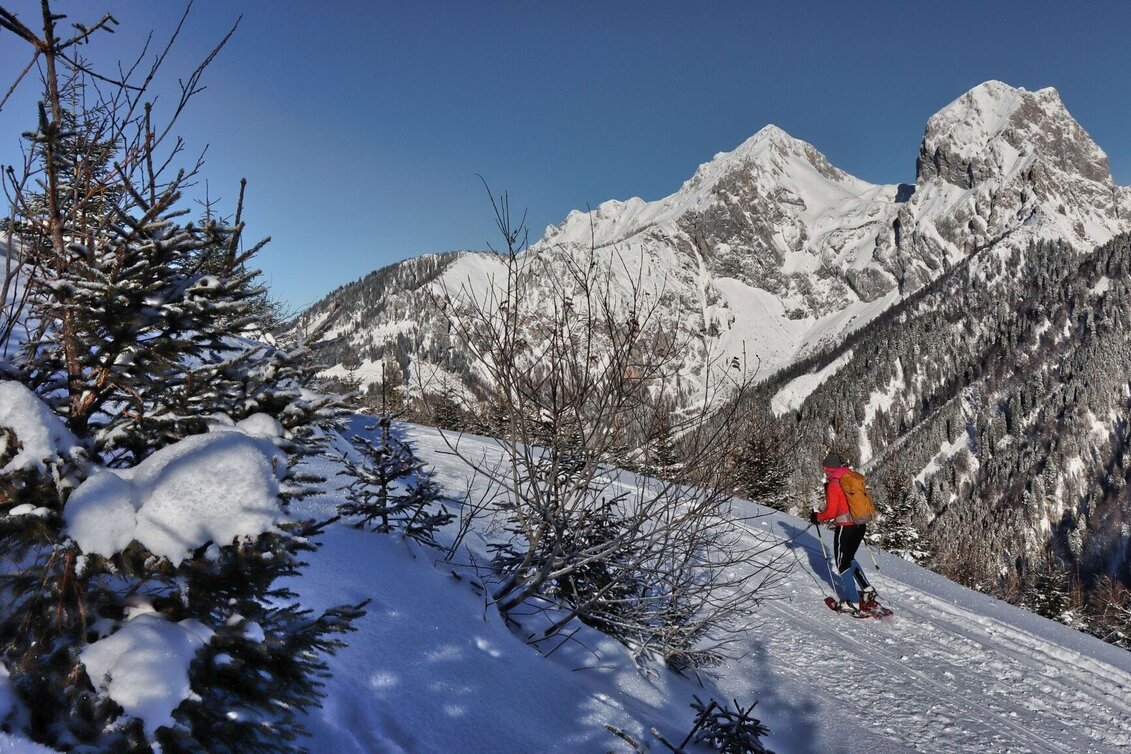 Snowshoe walking Plöschkogel - Touren-Impression #1 | © Weges OG