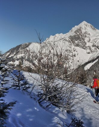 Aufstieg auf der Forststraße | Weges OG | © Weges OG