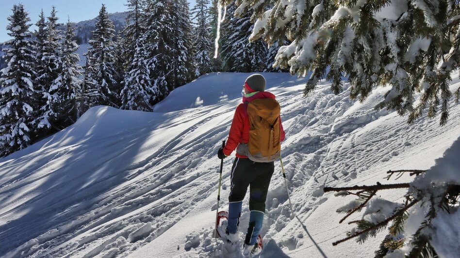 Snowshoe walking Plöschkogel - Touren-Impression #2.3 | © Weges OG