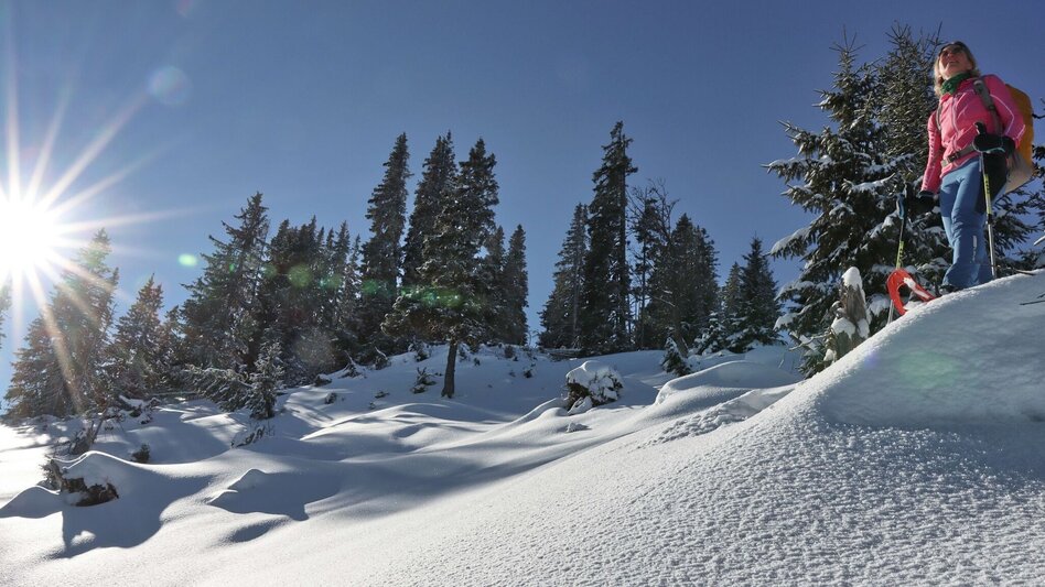 Snowshoe walking Plöschkogel - Touren-Impression #2.6 | © Weges OG