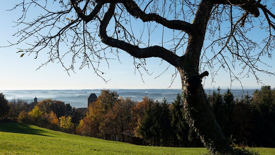 Wanderung Von der "Villa Rustica" zur Hausberg-Sonnenseite - Touren-Impression #2.1 | © Oststeiermark Tourismus