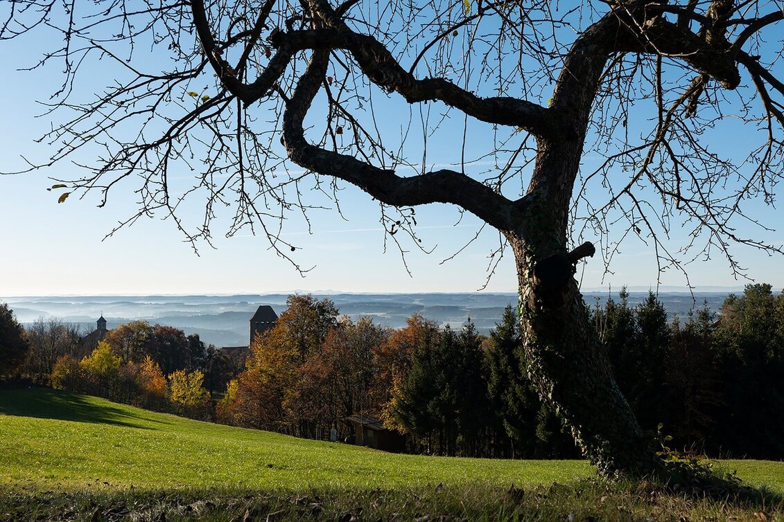 Wanderung Von der "Villa Rustica" zur Hausberg-Sonnenseite - Touren-Impression #1 | © Oststeiermark Tourismus
