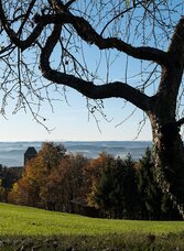 View from the Hausberg sunny side | © Oststeiermark Tourismus | Bernhard Bergmann  | © Oststeiermark Tourismus