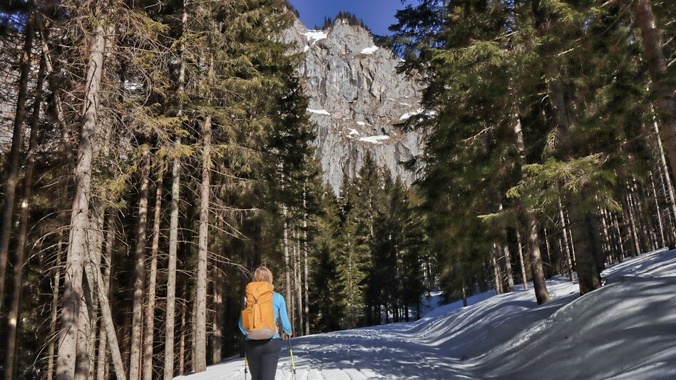 Snowshoe walking Sonnschienalm - Touren-Impression #2.1 | © Weges OG