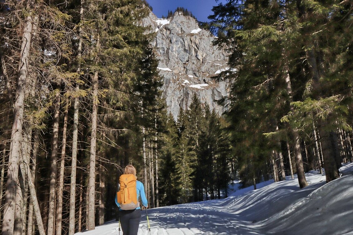Snowshoe walking Sonnschienalm - Touren-Impression #1 | © Weges OG