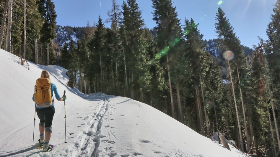 Snowshoe walking Sonnschienalm - Touren-Impression #2.2 | © Weges OG