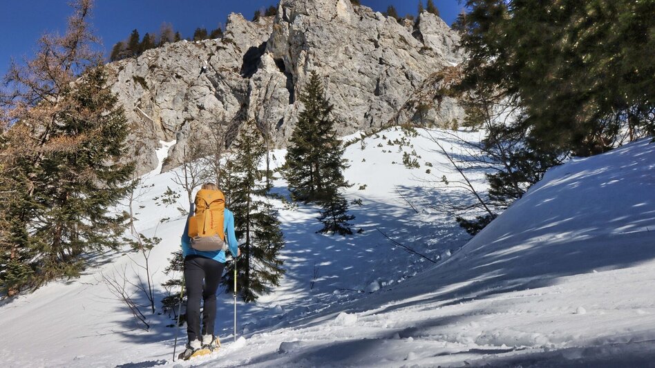 Snowshoe walking Sonnschienalm - Touren-Impression #2.3 | © Weges OG