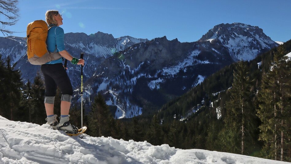 Snowshoe walking Sonnschienalm - Touren-Impression #2.4 | © Weges OG