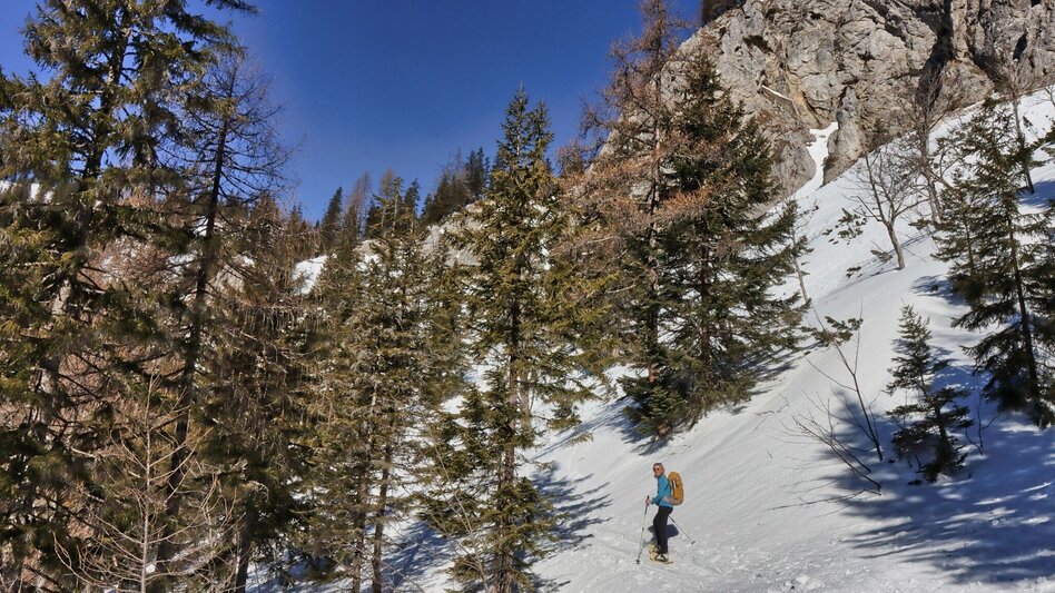 Snowshoe walking Sonnschienalm - Touren-Impression #2.6 | © Weges OG