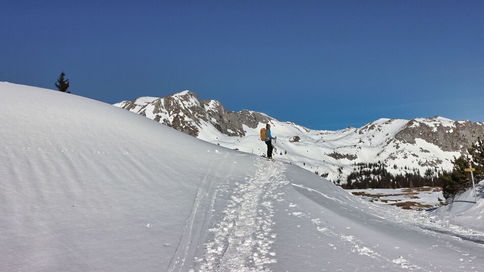 Snowshoe walking Sonnschienalm - Touren-Impression #2.7 | © Weges OG