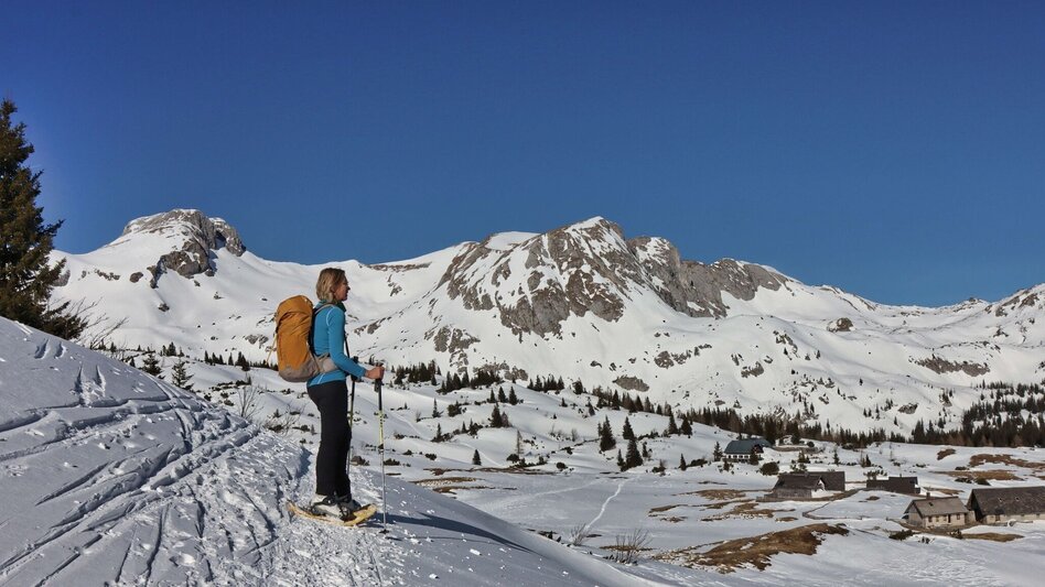 Snowshoe walking Sonnschienalm - Touren-Impression #2.8 | © Weges OG