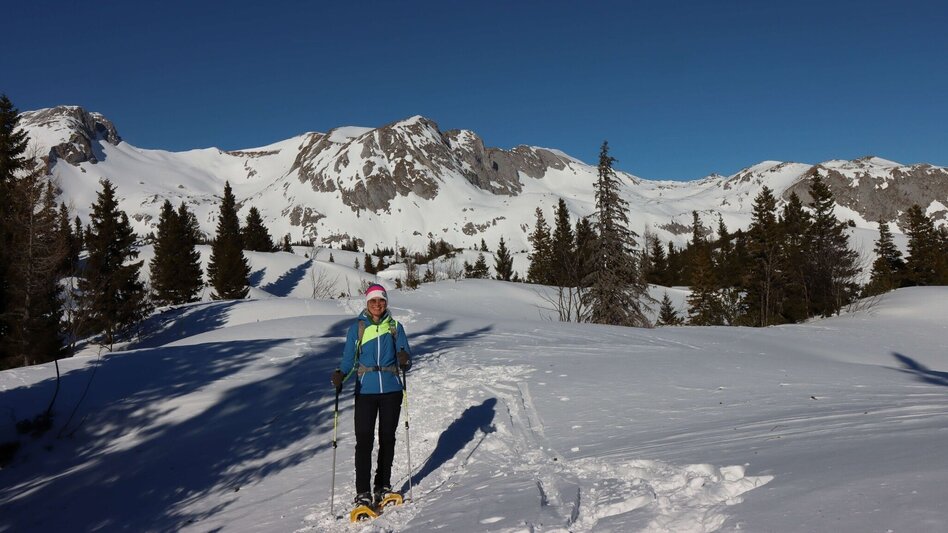 Snowshoe walking Sonnschienalm - Touren-Impression #2.12 | © Weges OG