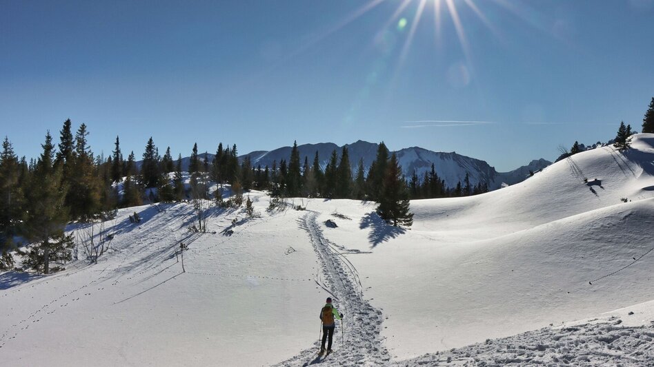 Snowshoe walking Sonnschienalm - Touren-Impression #2.14 | © Weges OG