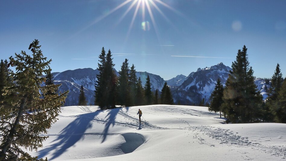 Snowshoe walking Sonnschienalm - Touren-Impression #2.15 | © Weges OG