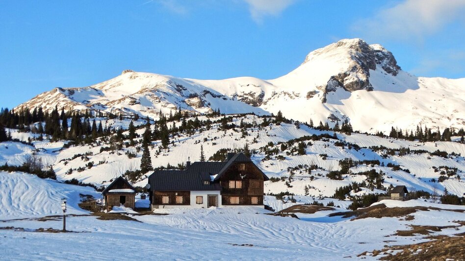 Snowshoe walking Sonnschienalm - Touren-Impression #2.11 | © Weges OG