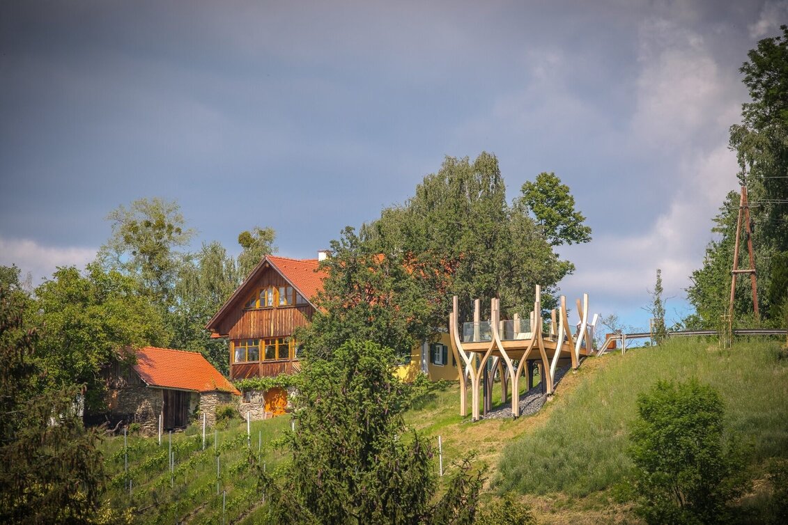 Hiking route Pistorfer circular trail no. 19 Variant b - Touren-Impression #1 | © Südsteiermark