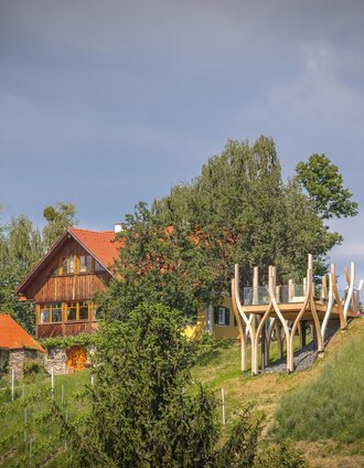 Blick zum Panoramasteg im Sausal | Roman Marchler | © Südsteiermark