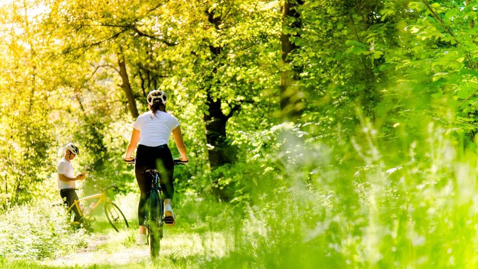 Bike Riding River and Adventure - Touren-Impression #2.5 | © Region Graz