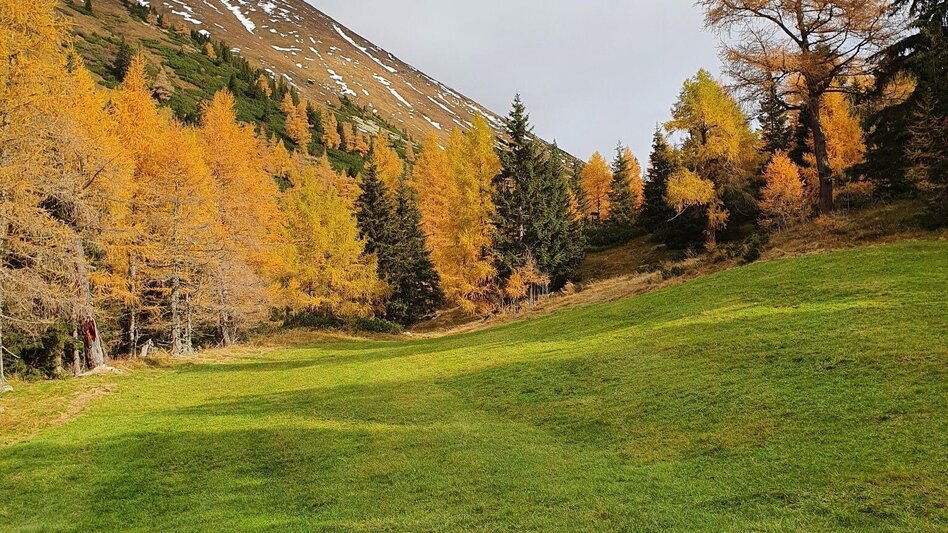 Wanderung Maierangerkogel - Brandstätterkogel - Touren-Impression #2.5 | © Erlebnisregion Murtal