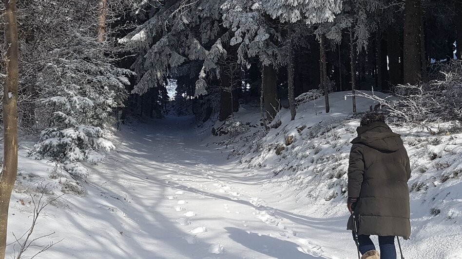 Winter Hiking Winter hiking in Masenberg, Pöllauberg - Touren-Impression #2.1 | © Oststeiermark Tourismus