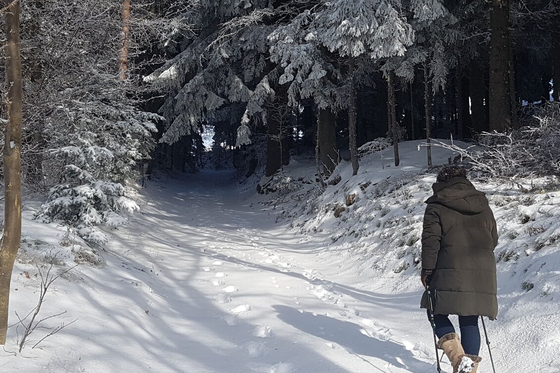 Winter Hiking Winter hiking in Masenberg, Pöllauberg - Touren-Impression #1 | © Oststeiermark Tourismus