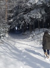 Masenberg Winterwandern | © Oststeiermark Tourismus | Christine Schwetz | © Oststeiermark Tourismus