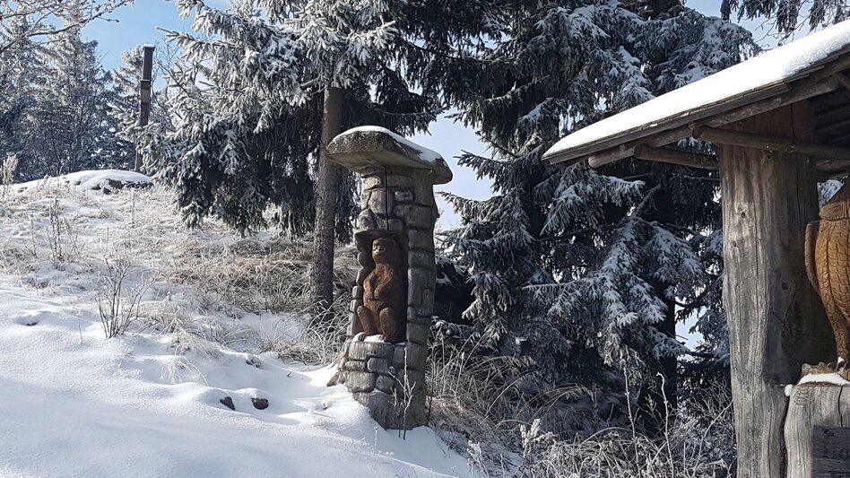 Winter Hiking Winter hiking in Masenberg, Pöllauberg - Touren-Impression #2.2 | © Oststeiermark Tourismus