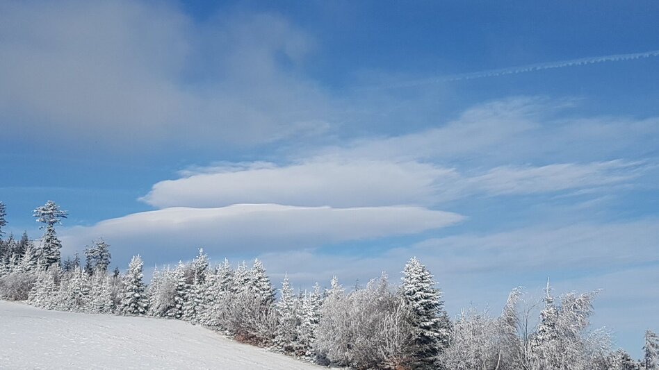 Winter Hiking Winter hiking in Masenberg, Pöllauberg - Touren-Impression #2.8 | © Oststeiermark Tourismus