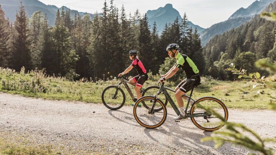 Mountain Biking Johnsbacher Almenrunde - Touren-Impression #2.8 | © TV Gesäuse