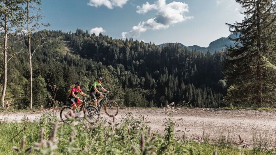 Mountain Biking Johnsbacher Almenrunde - Touren-Impression #2.12 | © TV Gesäuse