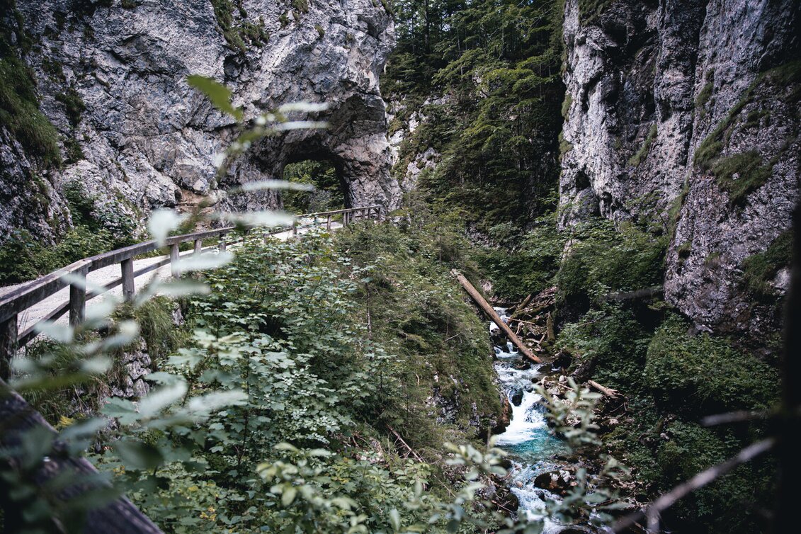 Mountain Biking Johnsbacher Almenrunde - Touren-Impression #1 | © TV Gesäuse