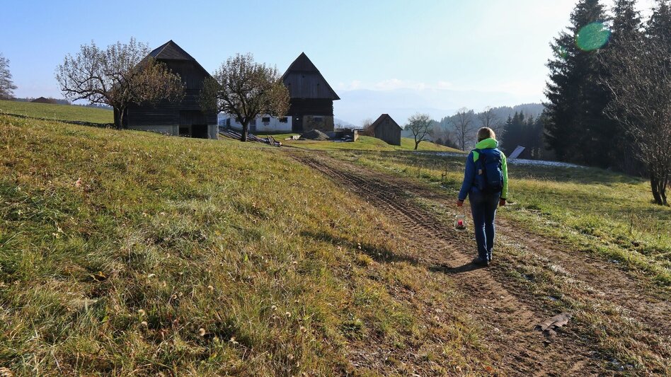 Winterwandern Winterwanderung in Seckau - Touren-Impression #2.5 | © WEGES OG