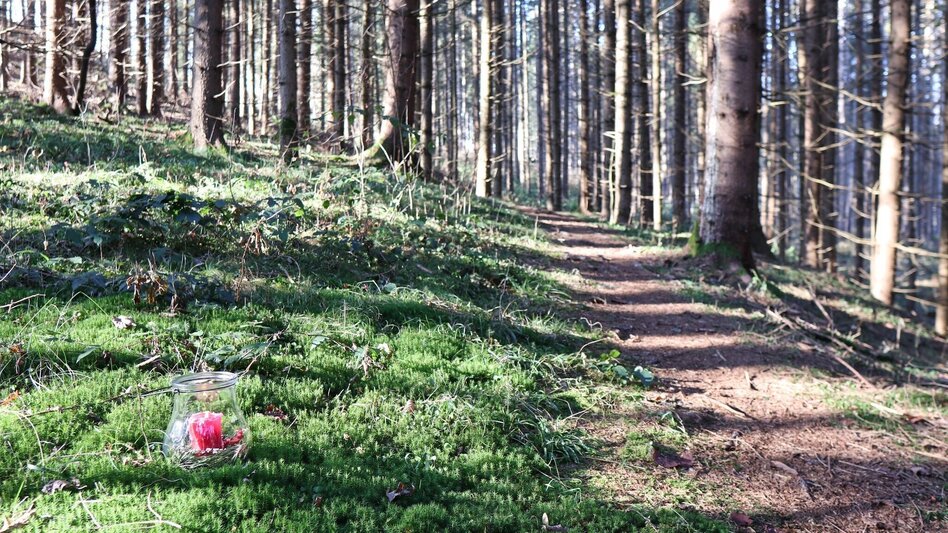 Winterwandern Winterwanderung in Seckau - Touren-Impression #2.7 | © WEGES OG