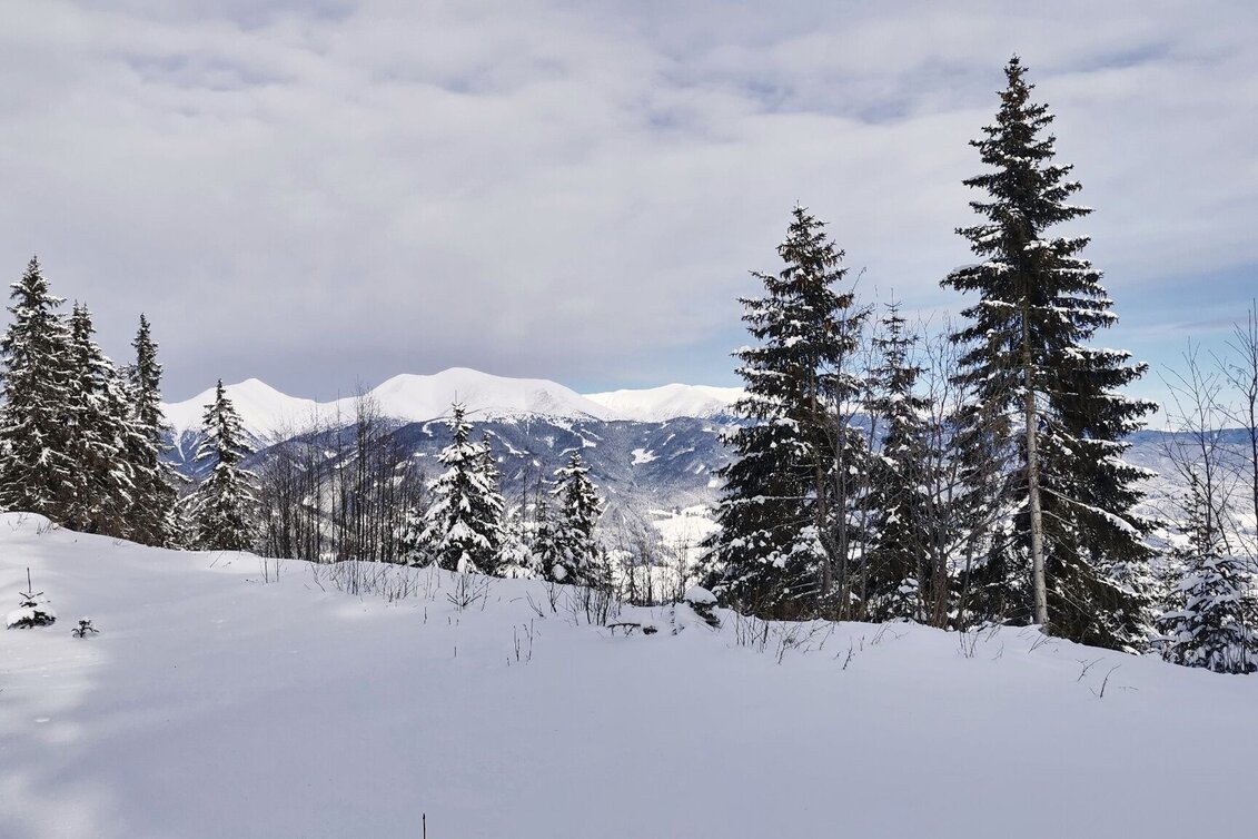 Winterwandern Winterwanderung in Seckau - Touren-Impression #1 | © Weges OG