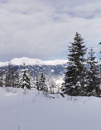 Ausblick auf die Seckauer Alpen | Weges OG | © Weges OG