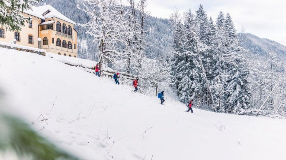 Winterwandern Zinödlberg - Der unscheinbare im Schatten der Großen - Touren-Impression #2.5 | © TV Gesäuse