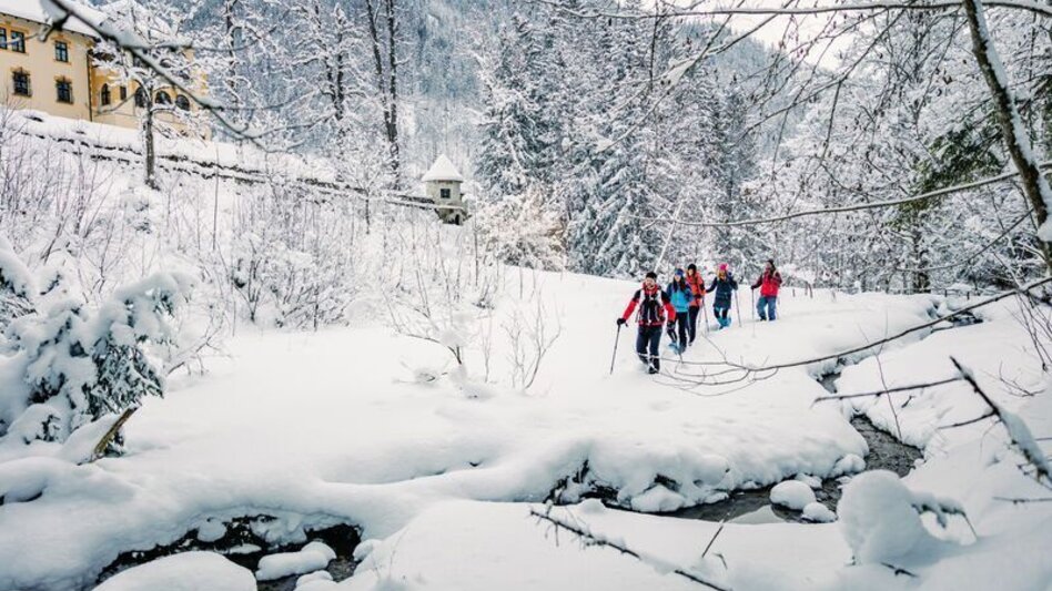 Winterwandern Zinödlberg - Der unscheinbare im Schatten der Großen - Touren-Impression #2.6 | © TV Gesäuse