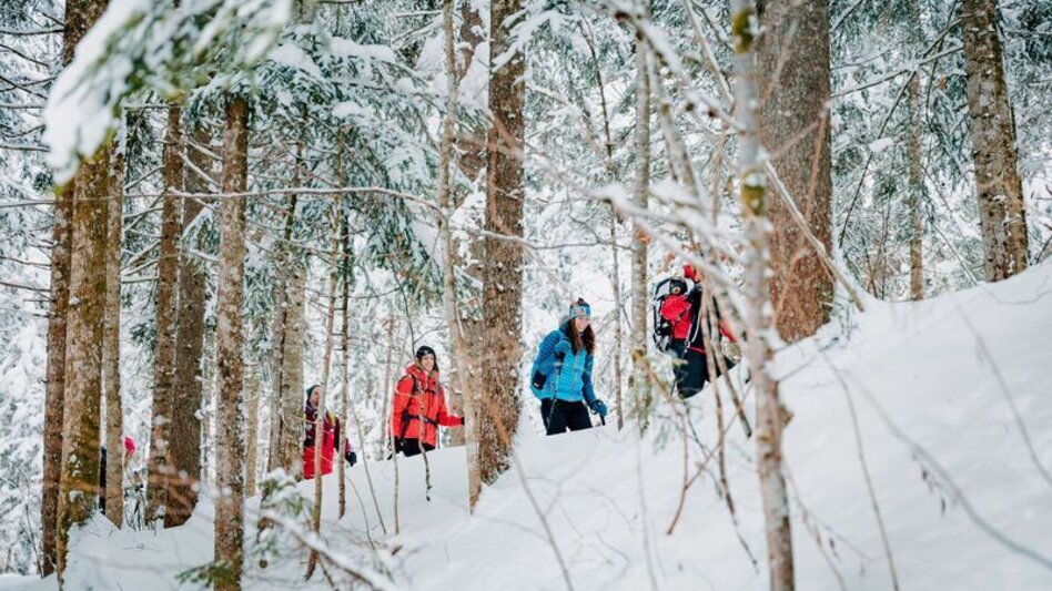 Winterwandern Zinödlberg - Der unscheinbare im Schatten der Großen - Touren-Impression #2.8 | © TV Gesäuse