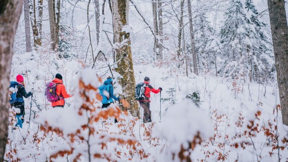 Winterwandern Zinödlberg - Der unscheinbare im Schatten der Großen - Touren-Impression #2.10 | © TV Gesäuse