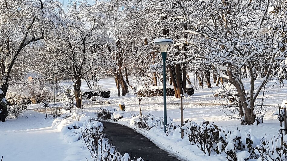 Winter Hiking Winter hiking nature park adventure trail, Pöllau - Touren-Impression #2.3 | © Oststeiermark Tourismus