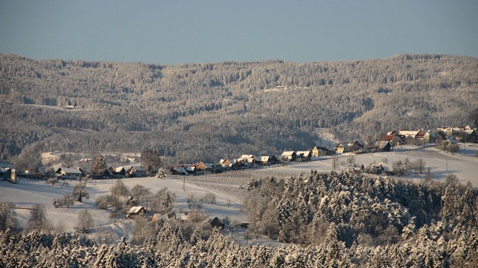 Winter Hiking Winter-Wanderung: Weingärten Hochgrail - Touren-Impression #2.4 | © TVB/Südsteiermark/Adobe Stock Photos