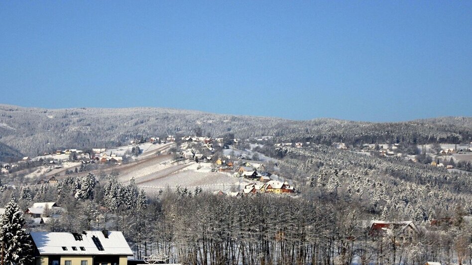 Winter Hiking Winter-Wanderung: Weingärten Hochgrail - Touren-Impression #2.1 | © TVB/Südsteiermark/Alois Rumpf