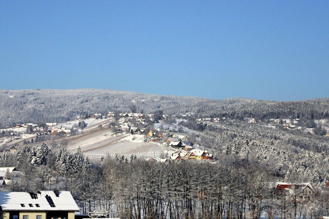 Winter Hiking Winter-Wanderung: Weingärten Hochgrail - Touren-Impression #1 | © TVB/Südsteiermark/Alois Rumpf